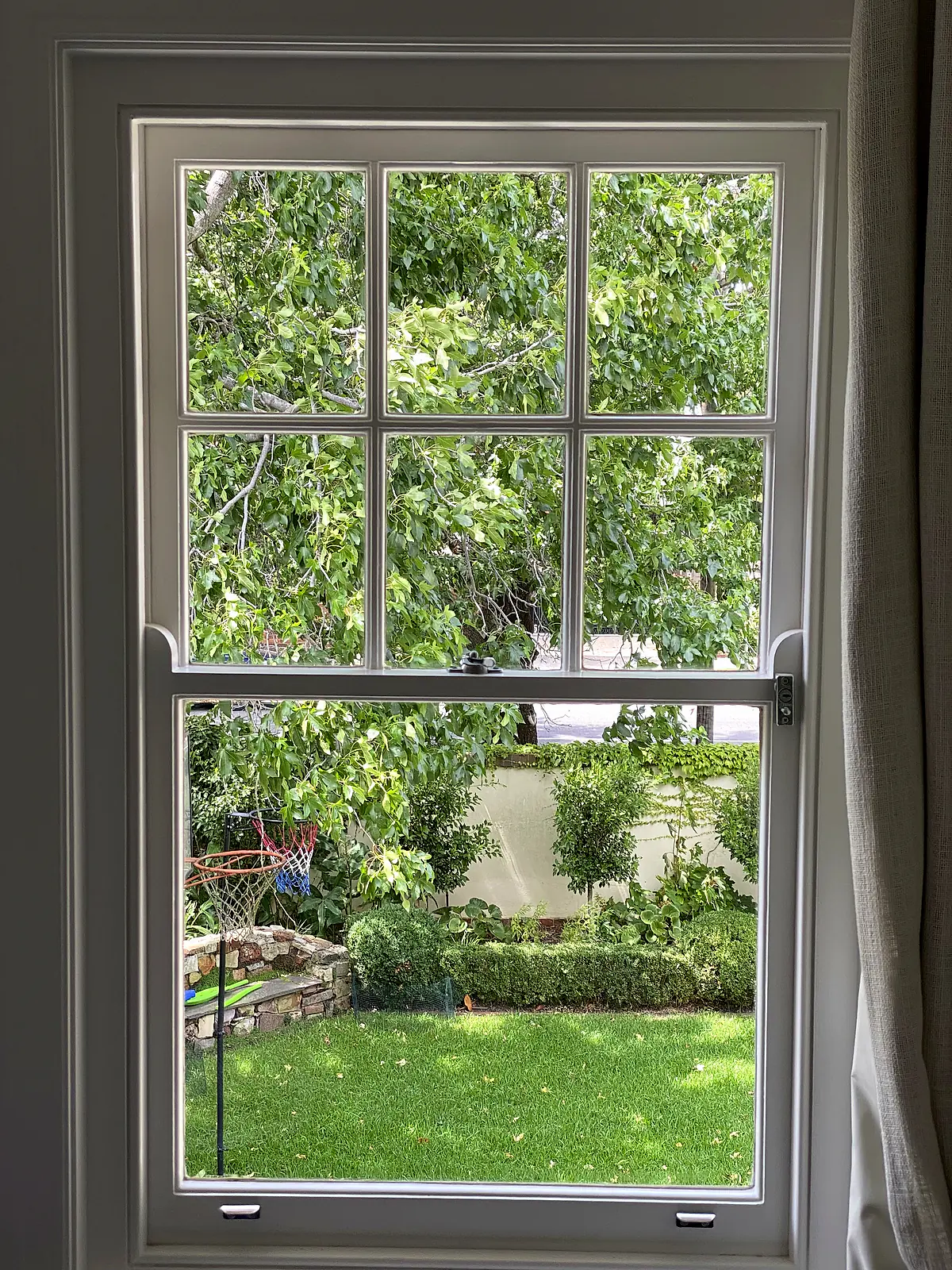 Timber sash window after cleaning, garden beyond fully legible through the glass