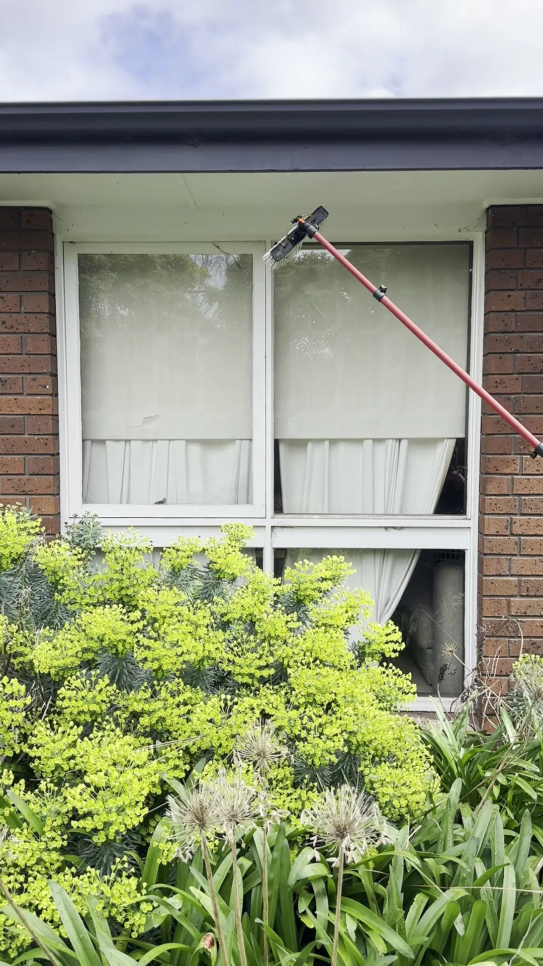Ribbon windows on a mid-century brick home after cleaning